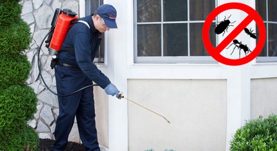 Beydağ Dezenfeksiyon böcek ilaçlama ve haşere kontrolü — ilaclama-tr.com